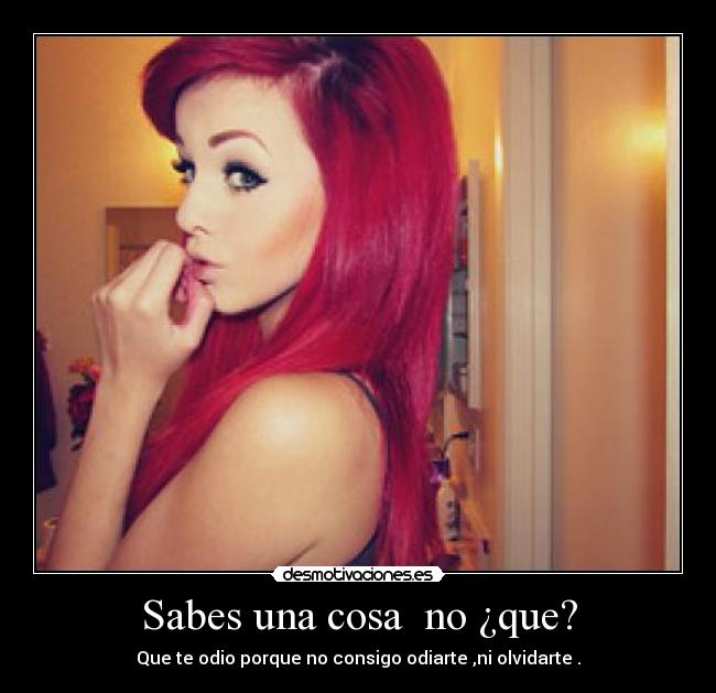 Sabes una cosa no ¿que? - Que te odio porque no consigo odiarte ,ni olvidarte .