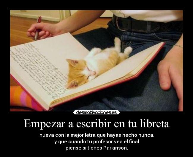 carteles notebook desmotivaciones