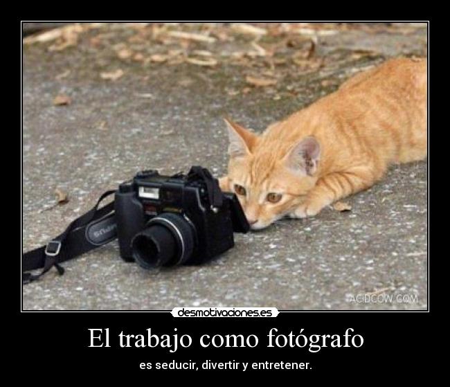 El trabajo como fotógrafo - es seducir, divertir y entretener.