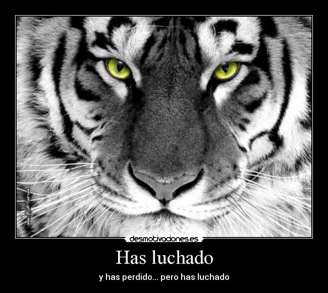 Has luchado - y has perdido... pero has luchado