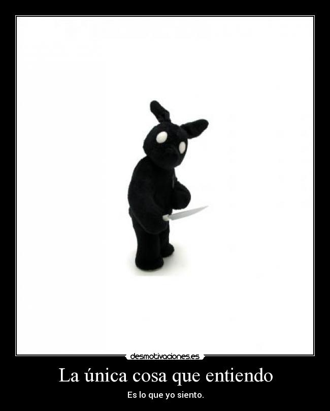 carteles pensamientos sin sentido tonterias con importancia desmotivaciones