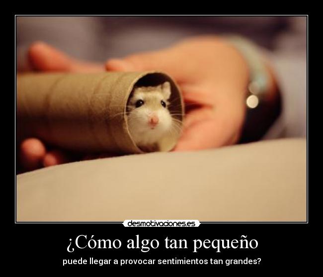 ¿Cómo algo tan pequeño -