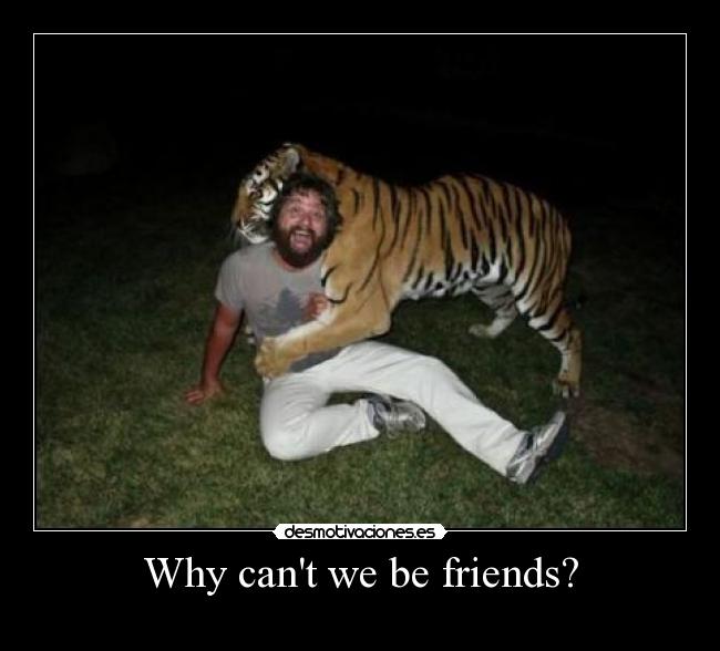 Why cant we be friends? -