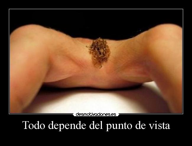 culos peludos gay la mejor follada del mundo culos peludos gay la mejor follada del mundo