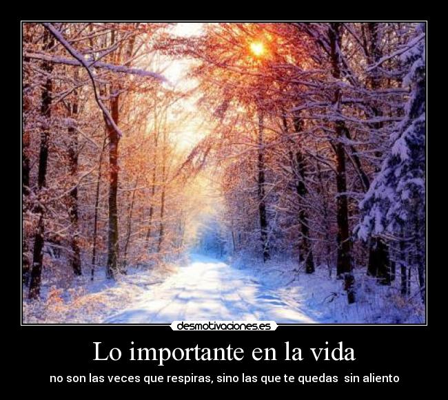 Lo importante en la vida - 