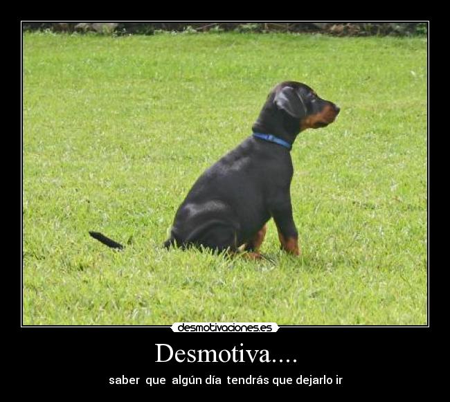 Desmotiva.... - saber que algún día tendrás que dejarlo ir