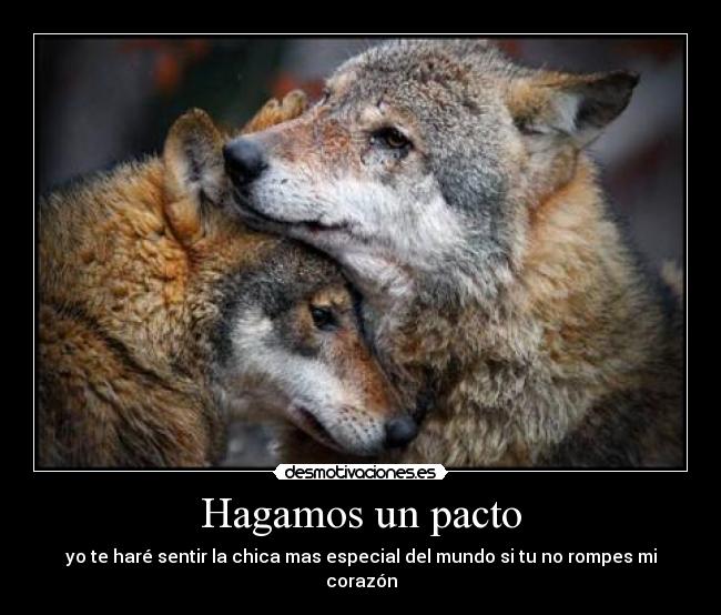 Hagamos un pacto - yo te haré sentir la chica mas especial del mundo si tu no rompes mi corazón
