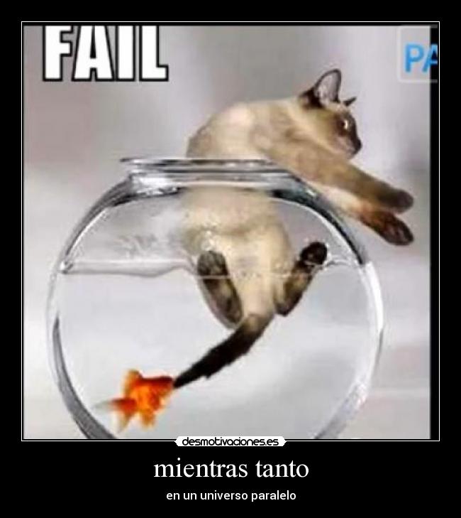 mientras tanto - en un universo paralelo