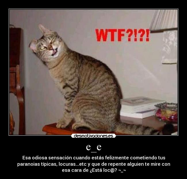 e_e - Esa odiosa sensación cuando estás felizmente cometiendo tus
paranoias típicas, locuras...etc y que de repente alguien te mire con
esa cara de ¿Está loc@? ¬_¬