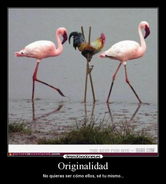 Originalidad - No quieras ser cómo ellos, sé tu mismo...