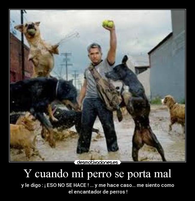 Y cuando mi perro se porta mal - 