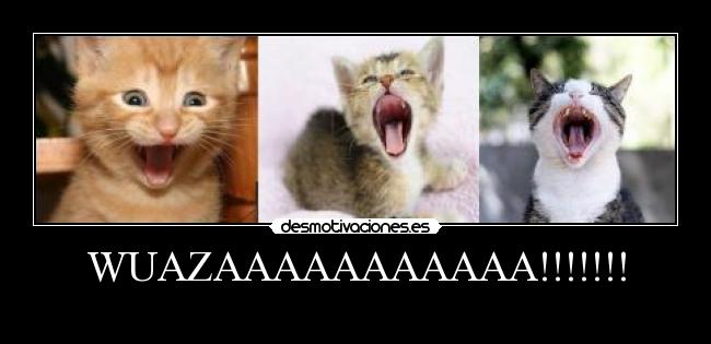 WUAZAAAAAAAAAAA!!!!!!! -
