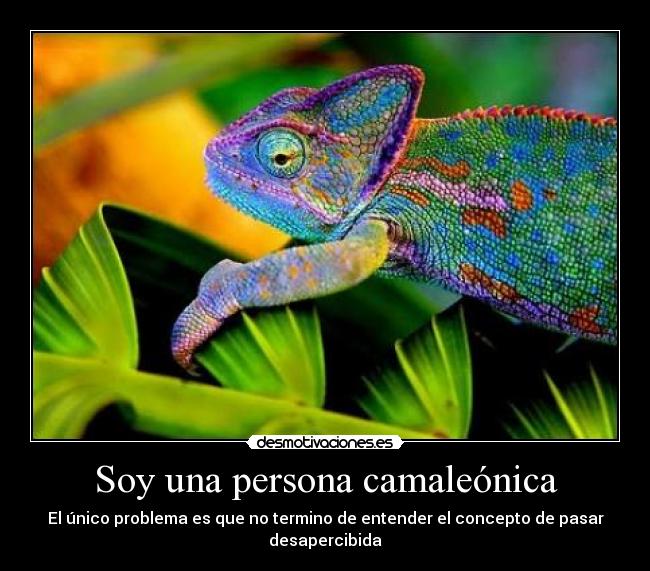 carteles camaleona green eyed ser una mas desmotivaciones
