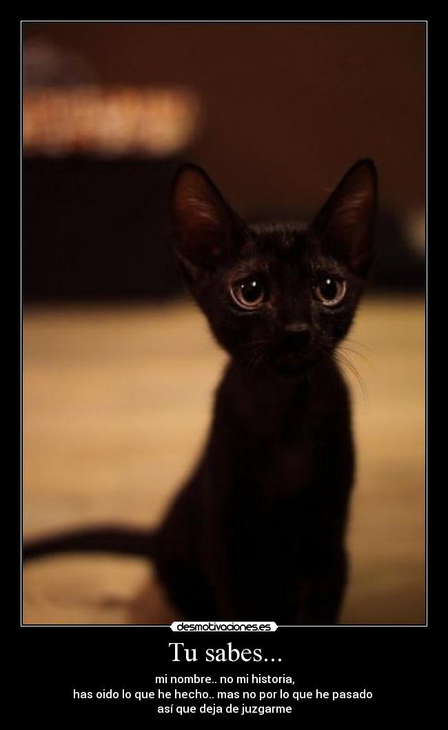 Tu sabes... - mi nombre.. no mi historia,
has oido lo que he hecho.. mas no por lo que he pasado 
así que deja de juzgarme
