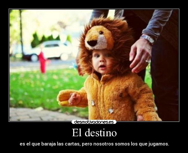 El destino - es el que baraja las cartas, pero nosotros somos los que jugamos.