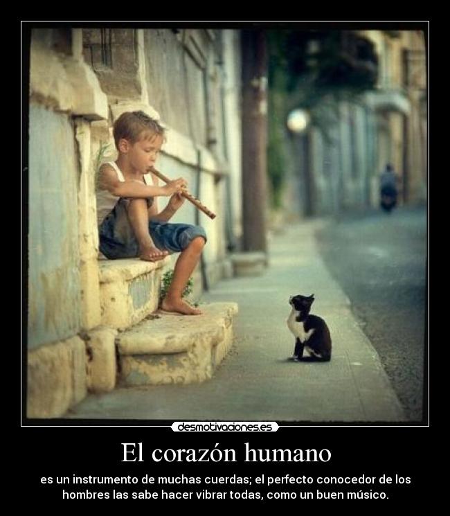 carteles corazon corazon desmotivaciones