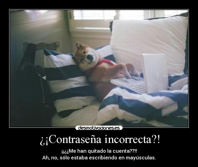 ¿¡Contraseña incorrecta?! - 