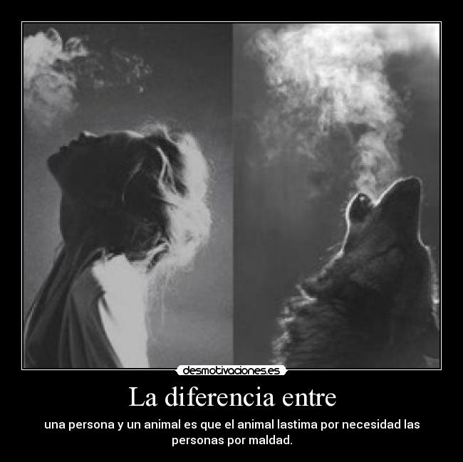 La diferencia entre - una persona y un animal es que el animal lastima por necesidad las
personas por maldad.