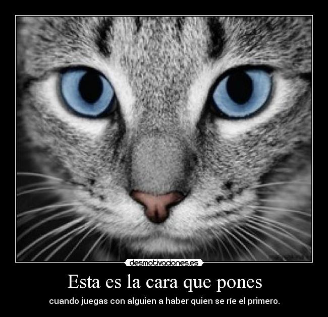 Esta es la cara que pones - cuando juegas con alguien a haber quien se ríe el primero.
