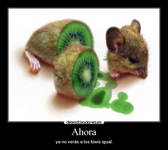 Ahora - ya no verás a los kiwis igual.