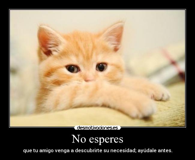 No esperes - 