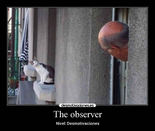The observer - Nivel: Desmotivaciones