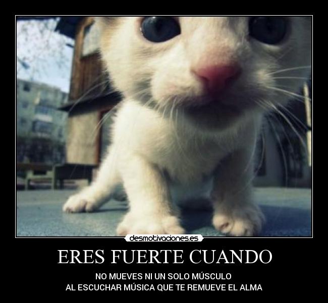 ERES FUERTE CUANDO - NO MUEVES NI UN SOLO MÚSCULO
AL ESCUCHAR MÚSICA QUE TE REMUEVE EL ALMA