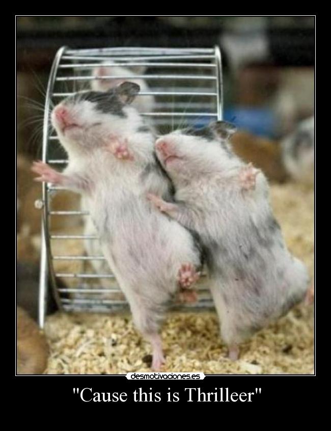 Cause this is Thrilleer - 