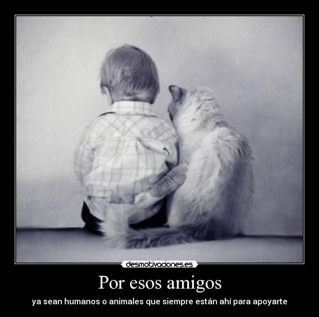 Por esos amigos - 