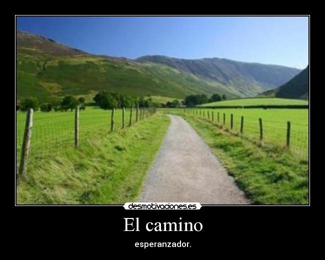 El camino -