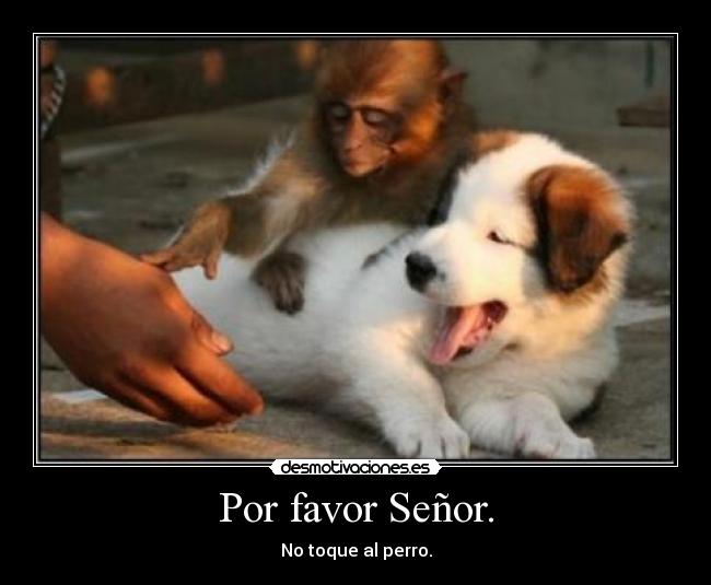 Por favor Señor. -