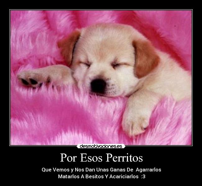 carteles lacola desmotivaciones