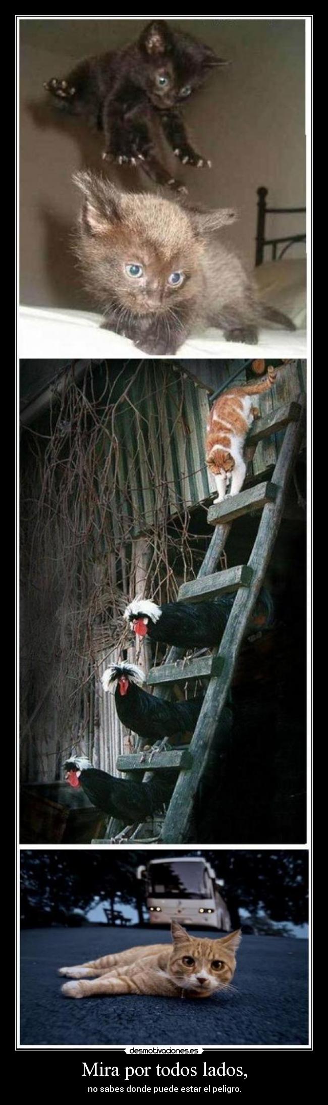 Mira por todos lados, -