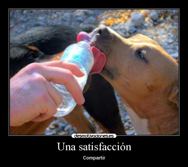 Una satisfacción - Compartir