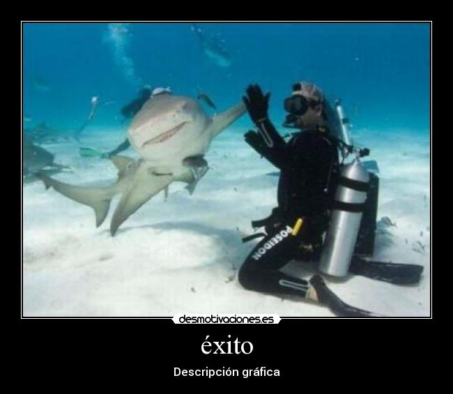 éxito - Descripción gráfica