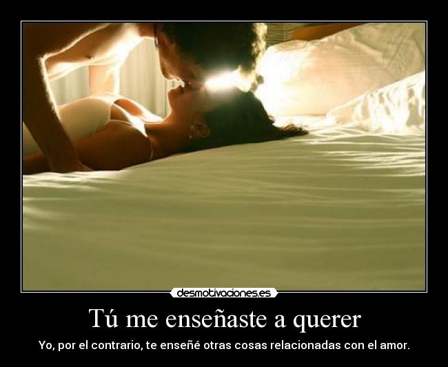 Tú me enseñaste a querer - 