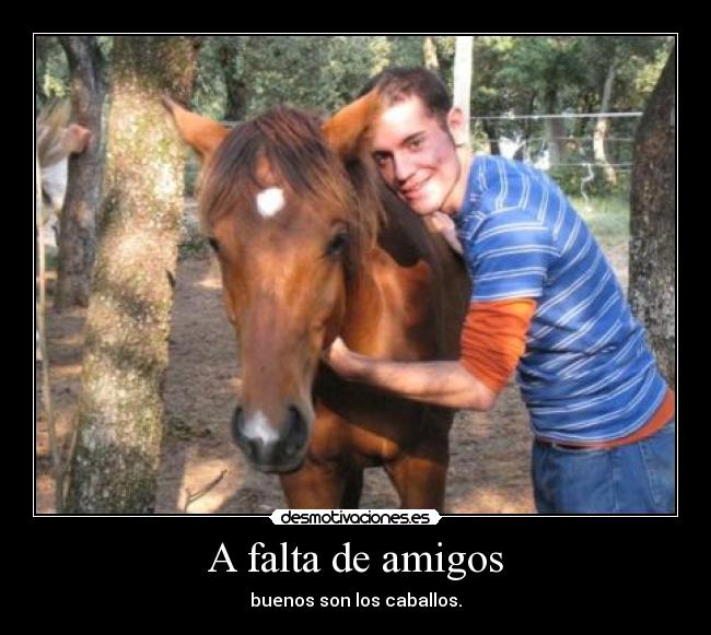 A falta de amigos - buenos son los caballos.