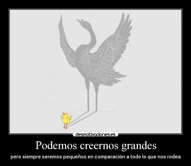 carteles otro cartelchorra muchamierda por mucho que intente consigo animarme desmotivaciones