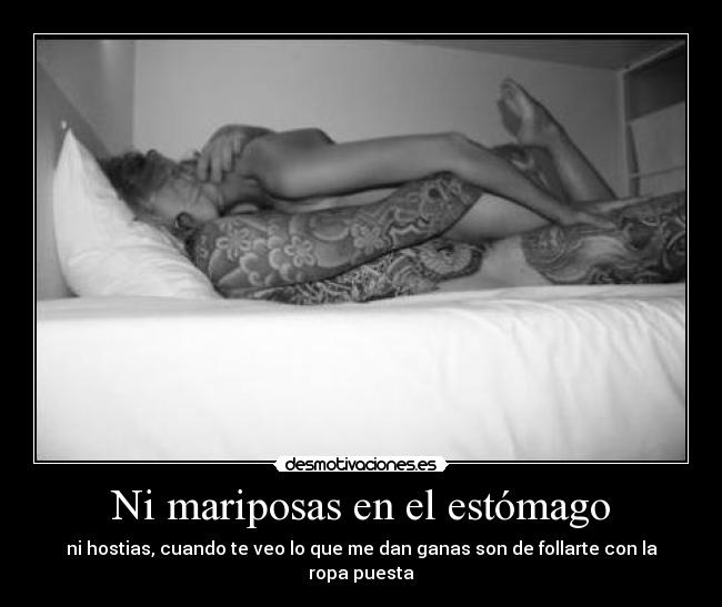 Ni mariposas en el estómago - 