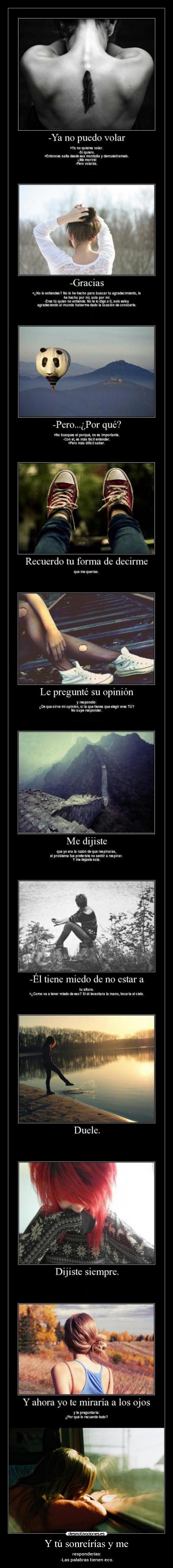 Y tú sonreírías y me - responderías:
-Las palabras tienen eco.