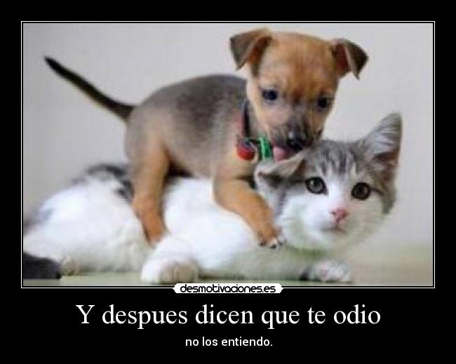 Y despues dicen que te odio - no los entiendo.