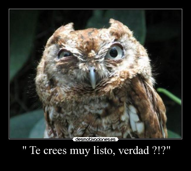 carteles albertop desmotivaciones