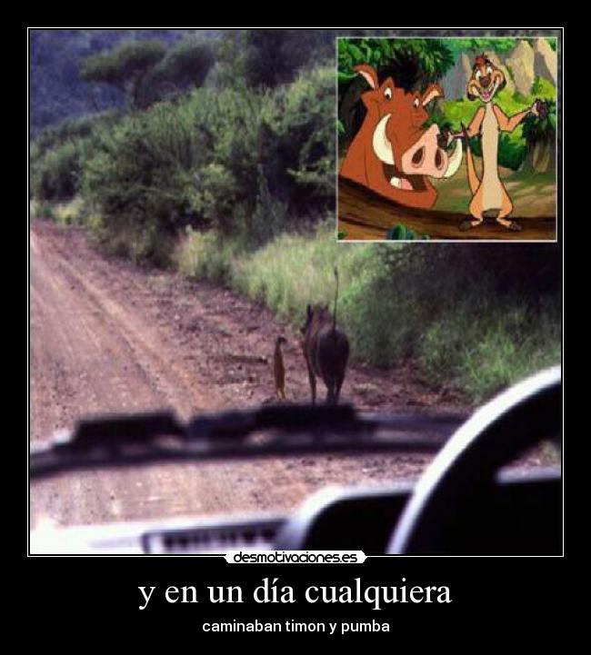 y en un día cualquiera - caminaban timon y pumba