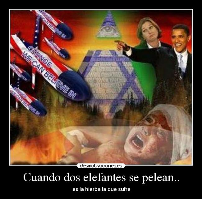 Cuando dos elefantes se pelean.. - 