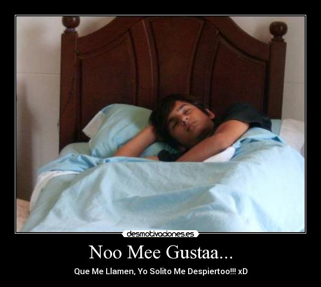 carteles gusta jesus lokuras dormir desmotivaciones