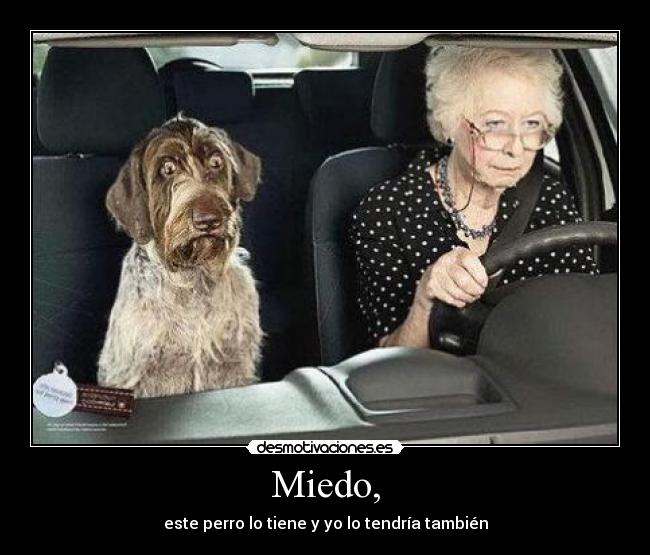 Miedo, - este perro lo tiene y yo lo tendría también