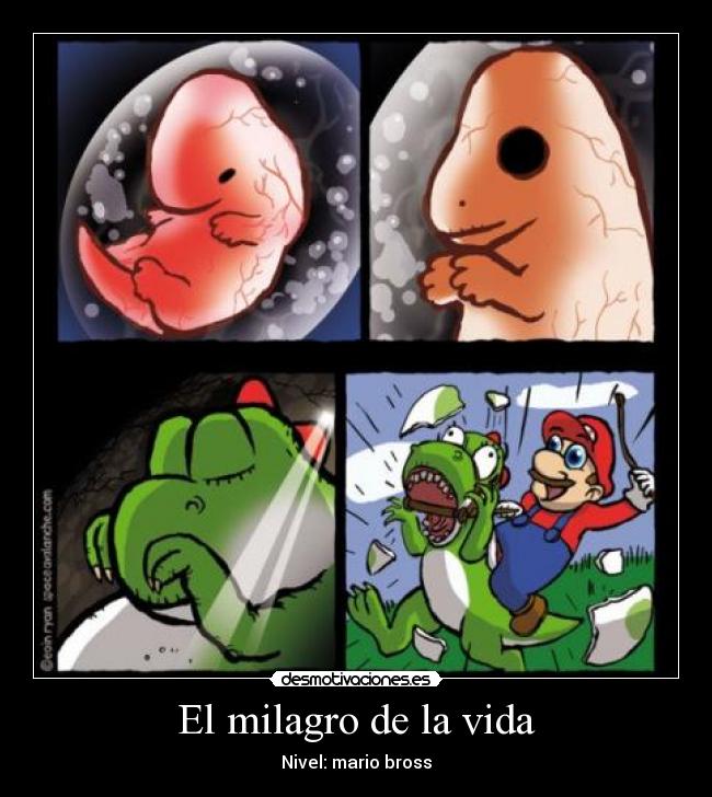 El milagro de la vida -