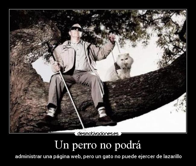 Un perro no podrá - administrar una página web, pero un gato no puede ejercer de lazarillo