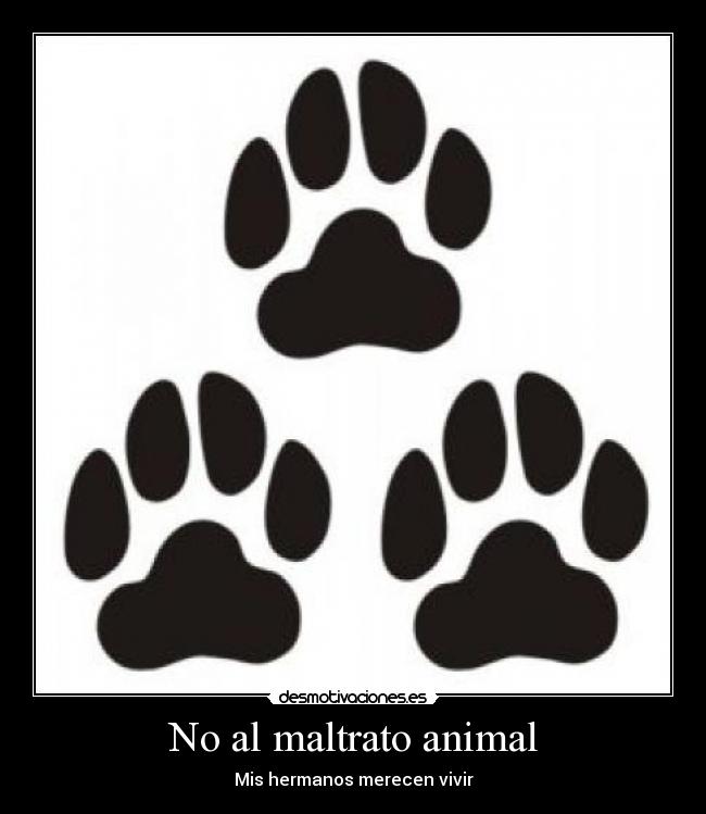 No al maltrato animal - Mis hermanos merecen vivir