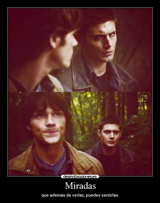 carteles shark quiero desmotivaciones